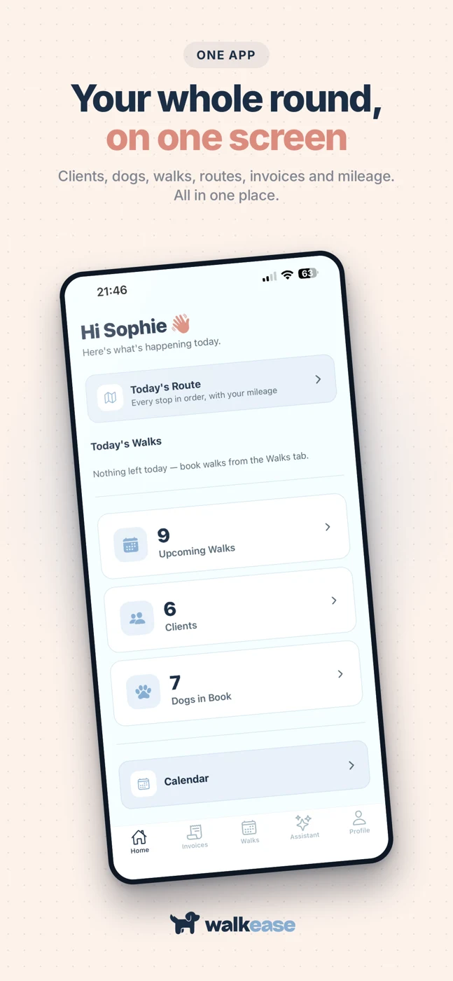 WalkEase App Store creative